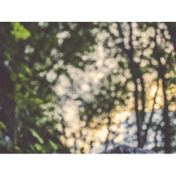 Durable Wool Car fr-FR